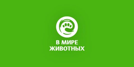 В мире животных